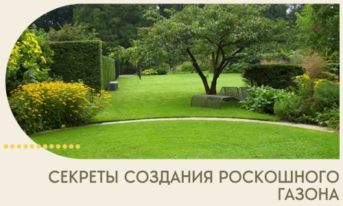 Секреты создания роскошного газона в Устях-Куте