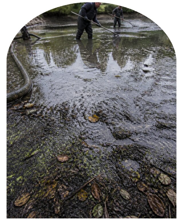 Очистка пруда в Устях-Куте от ила мусора и водорослей с вывозом